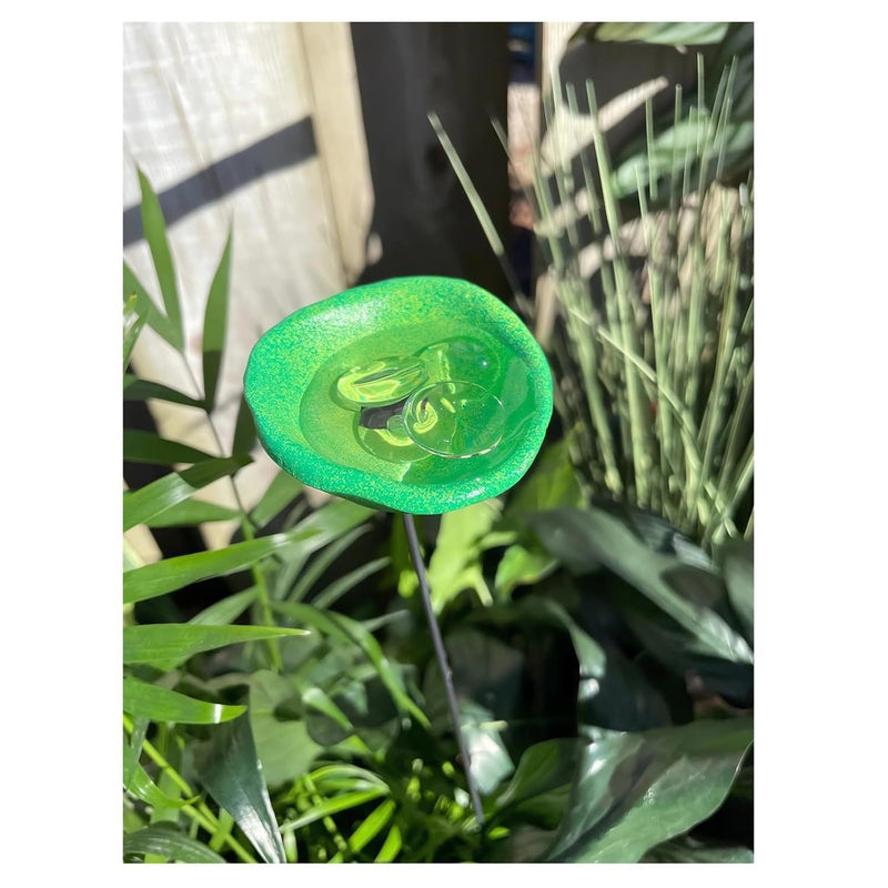 NewBee Water Dispenser, Drinking Station, Butterfly Blender, Hummingbird Water Bottle