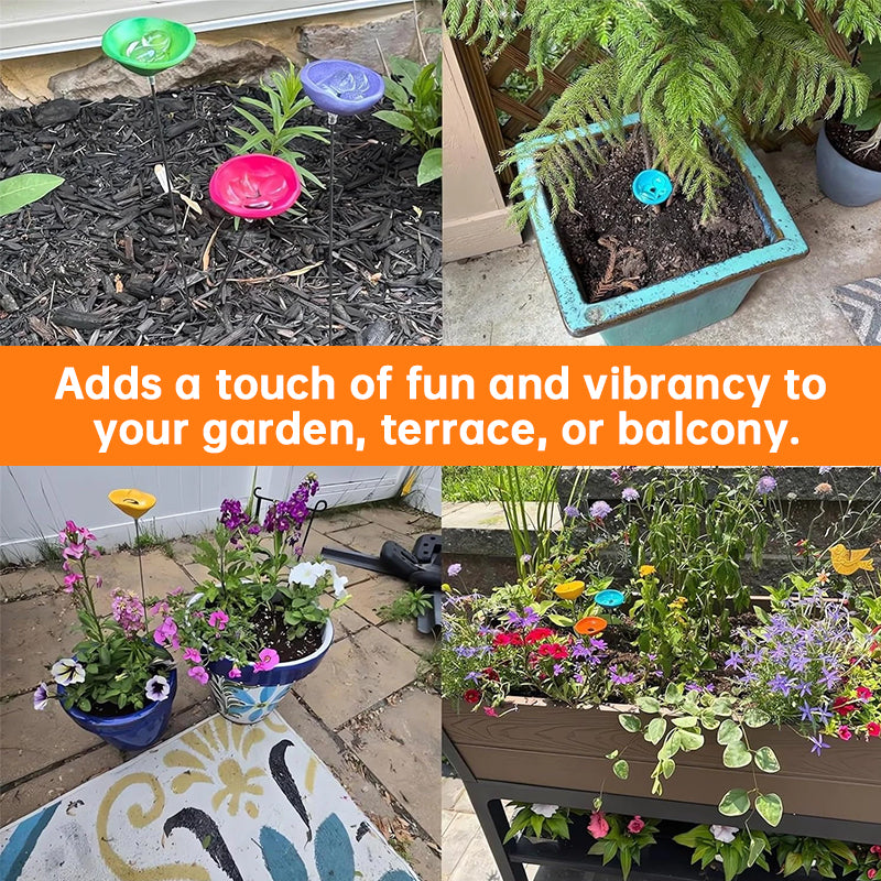 NewBee Water Dispenser, Drinking Station, Butterfly Blender, Hummingbird Water Bottle