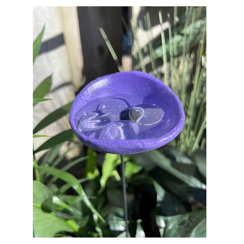 NewBee Water Dispenser, Drinking Station, Butterfly Blender, Hummingbird Water Bottle