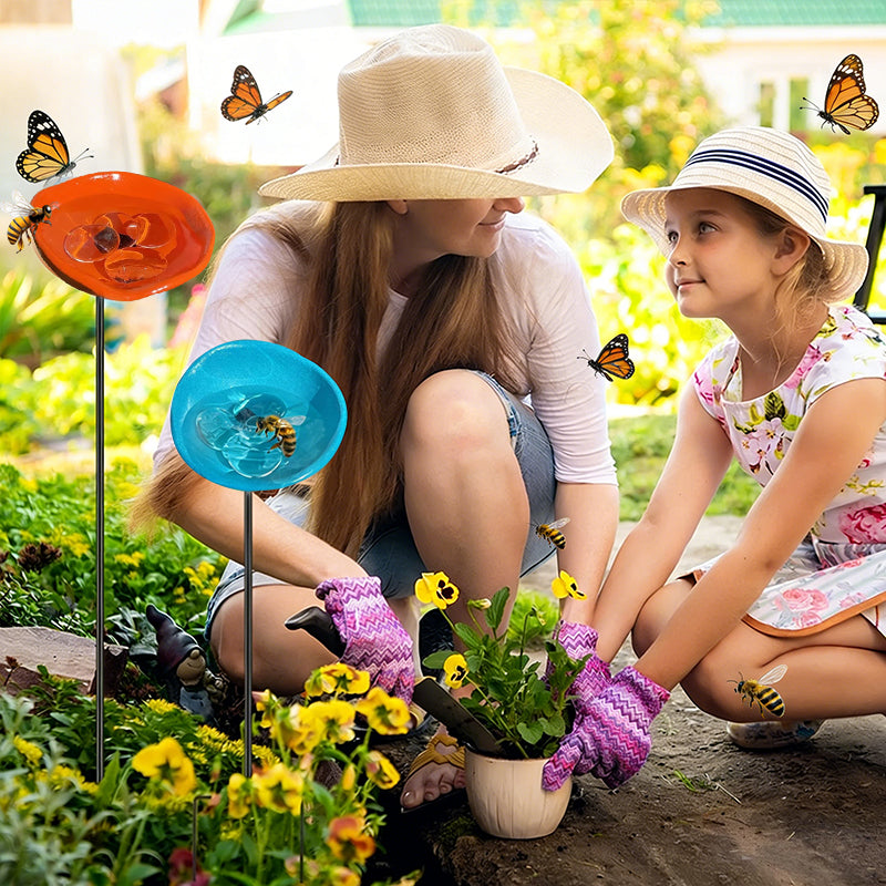 NewBee Water Dispenser, Drinking Station, Butterfly Blender, Hummingbird Water Bottle