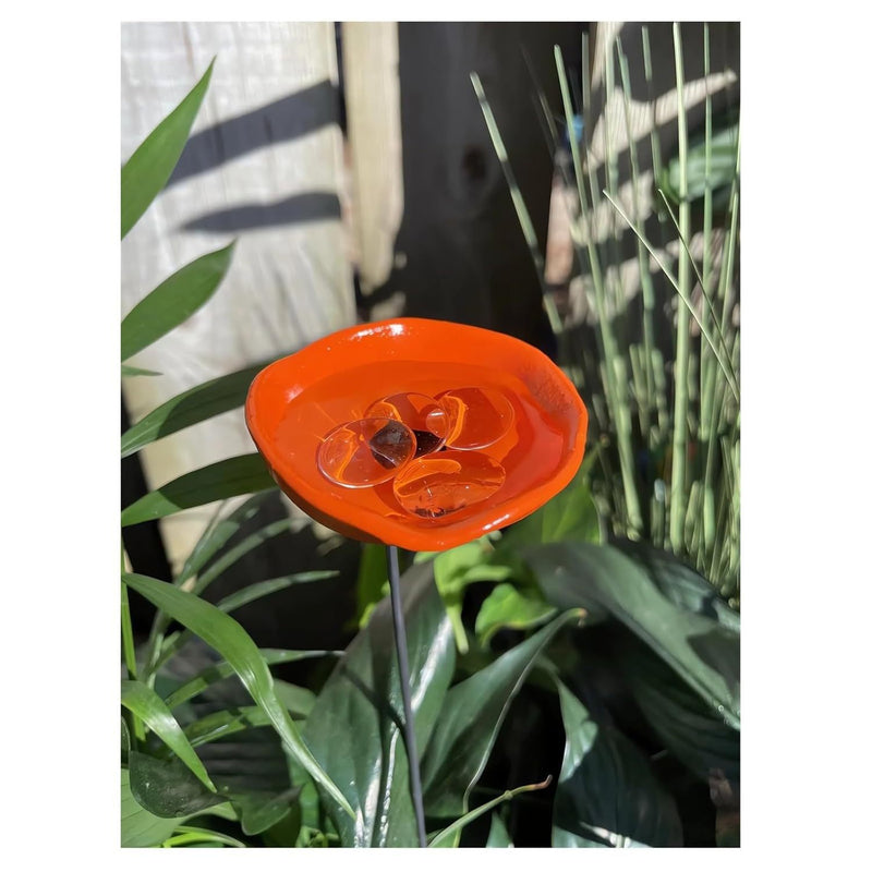 NewBee Water Dispenser, Drinking Station, Butterfly Blender, Hummingbird Water Bottle