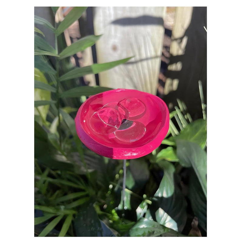 NewBee Water Dispenser, Drinking Station, Butterfly Blender, Hummingbird Water Bottle